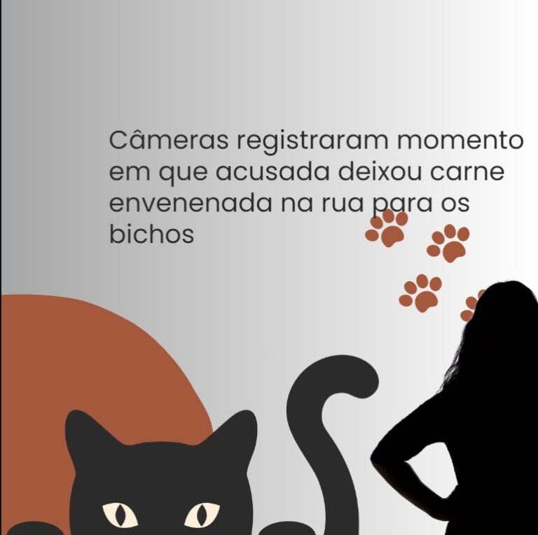 Mulher é Denunciada por Envenenar 26 Gatos na Região